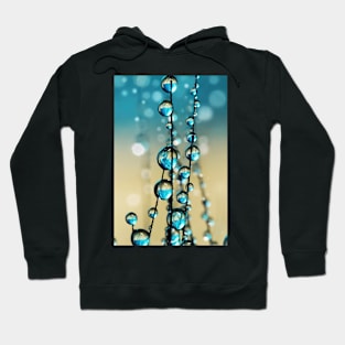 Grass Seed in Blue Sparkle II Hoodie